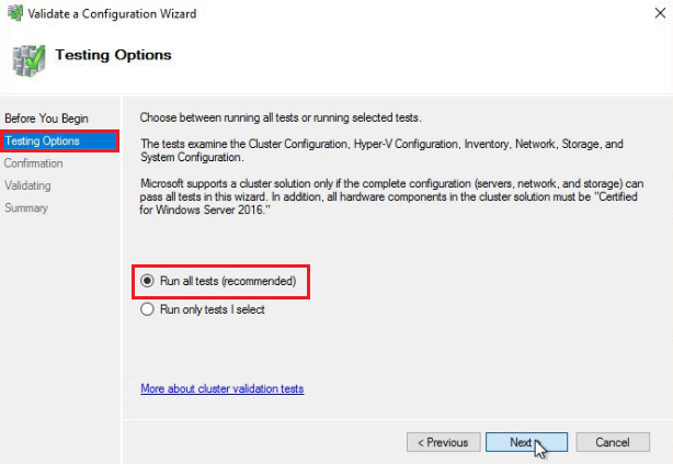 On the Testing Options screen, select Run all tests (recommended), then select Next.  