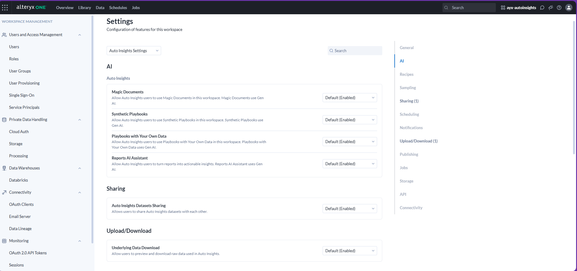 workspace-auto-insight-AI-settings.png